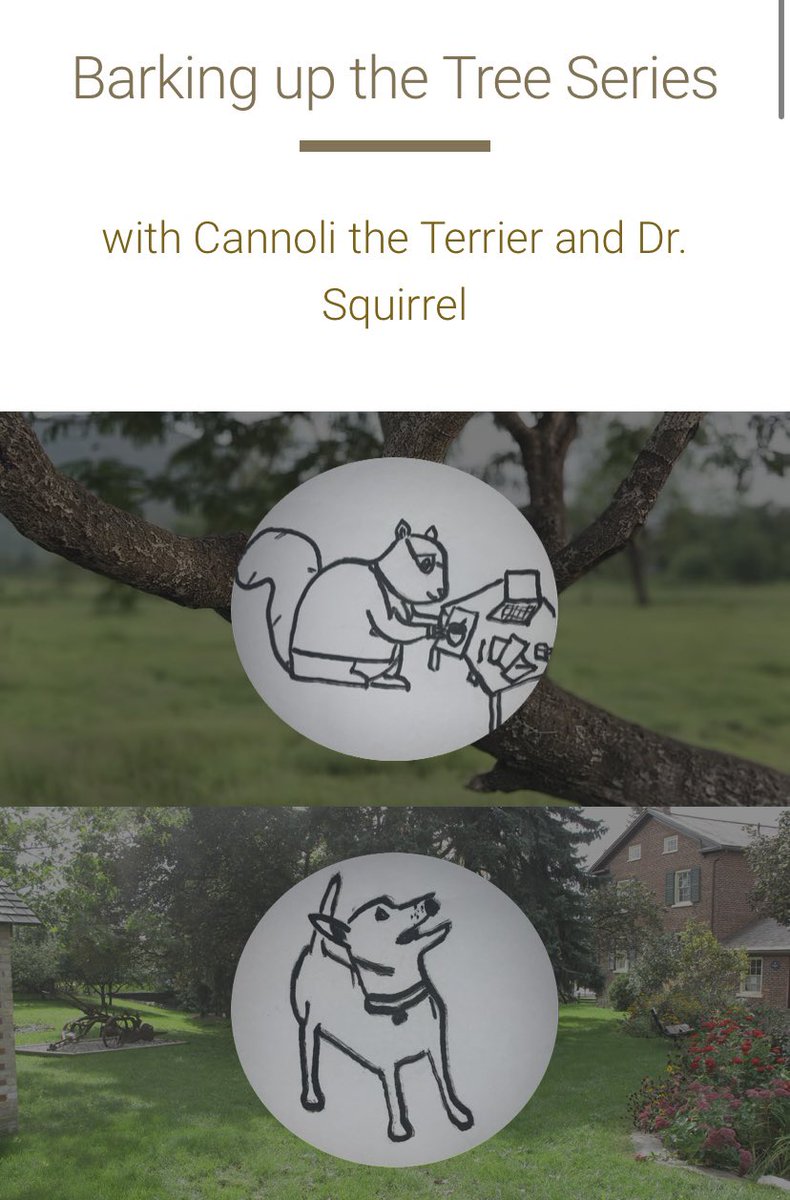 BEAM Research Lab tweet media