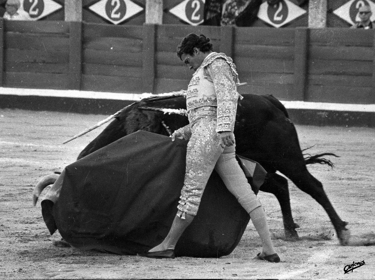 purezatoros's tweet photo. "...Dame veneno, ay para morir..." La foto es de @Firma_Arjona. https://t.co/dkJ8ZpjVZI