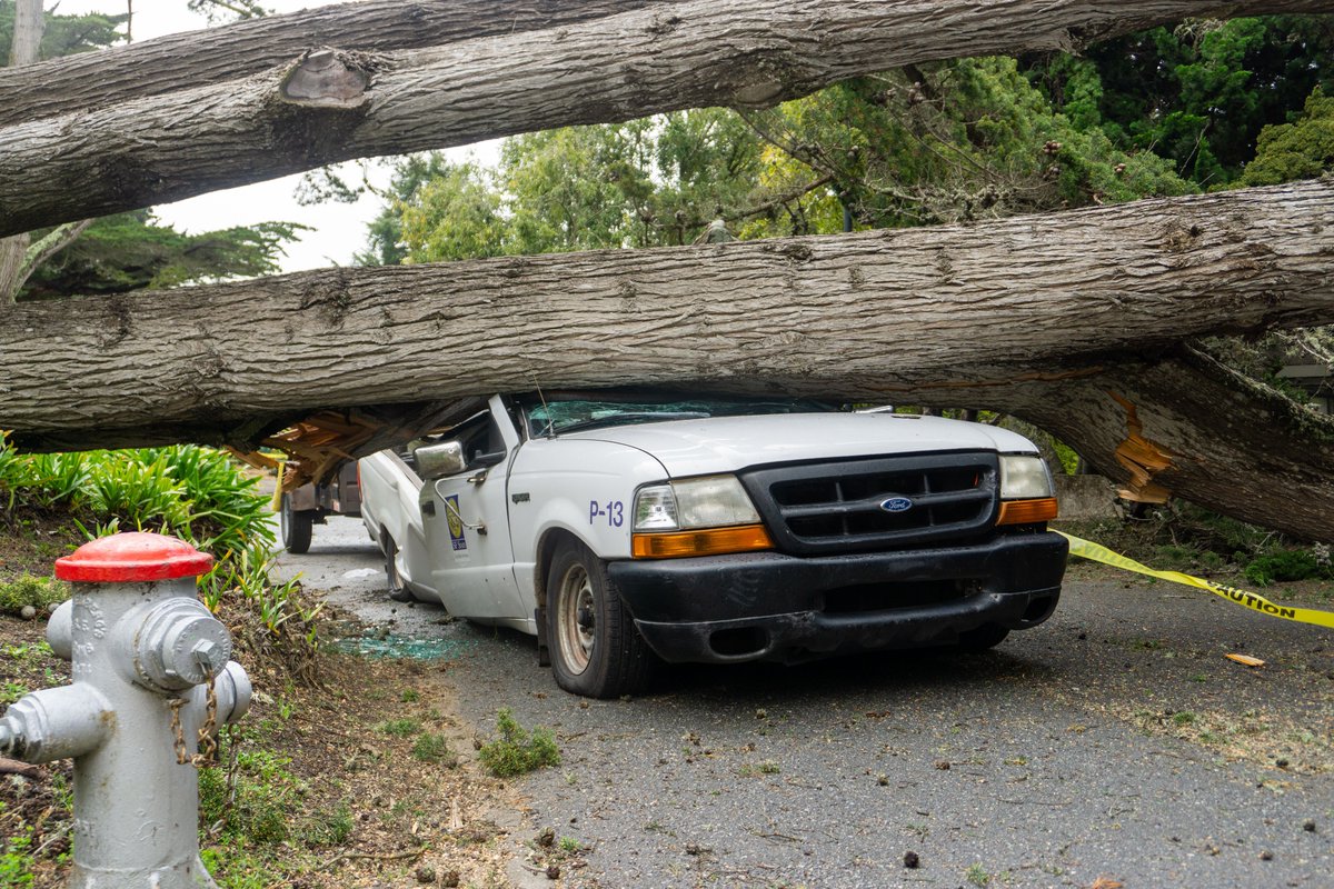 Golden Gate Xpress tweet media