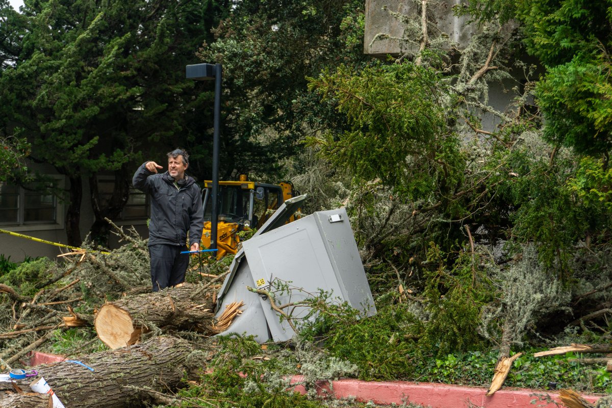 Golden Gate Xpress tweet media