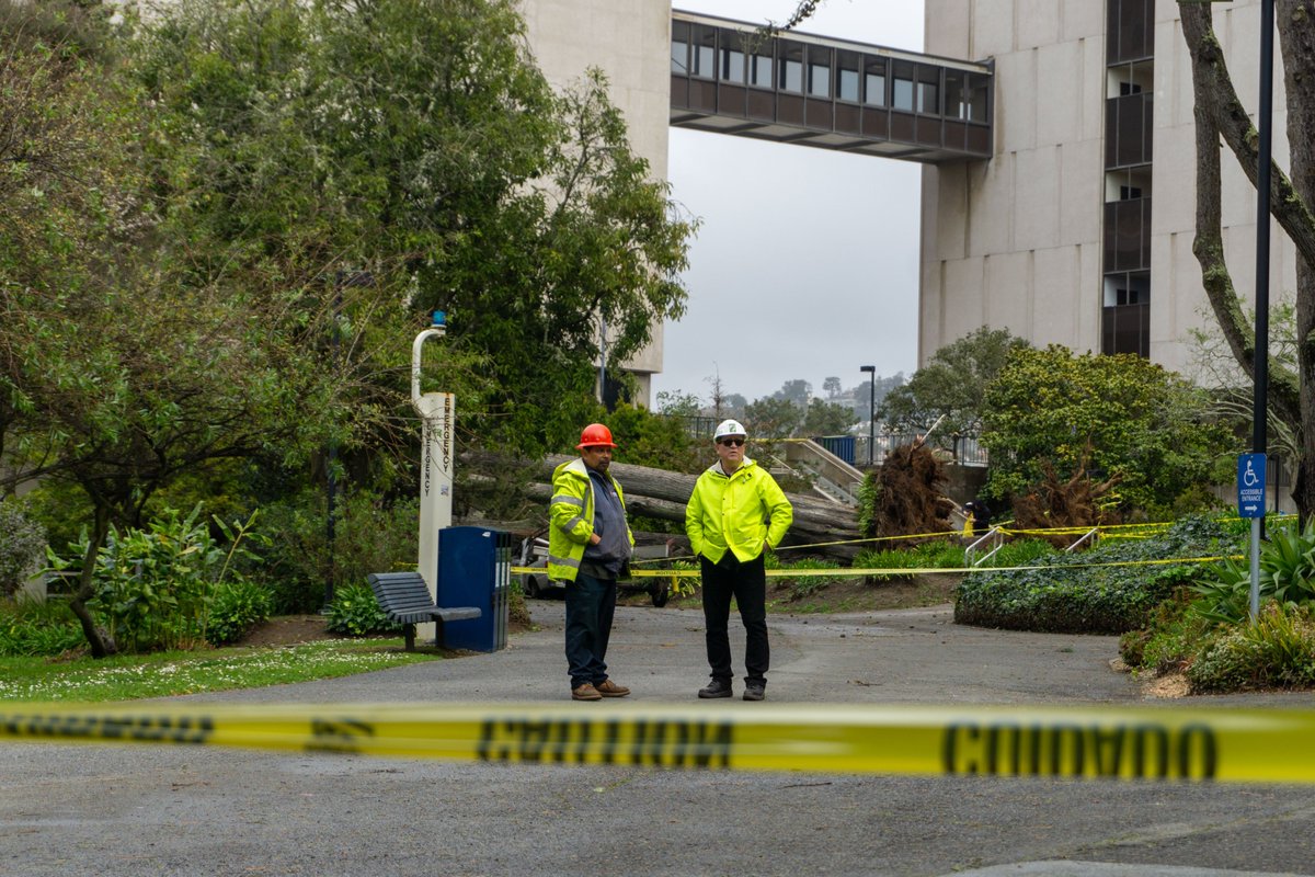 BREAKING: 48 mph wind speed has left multiple trees down on campus, one of which fell on a campus maintenance vehicle. Story to come.