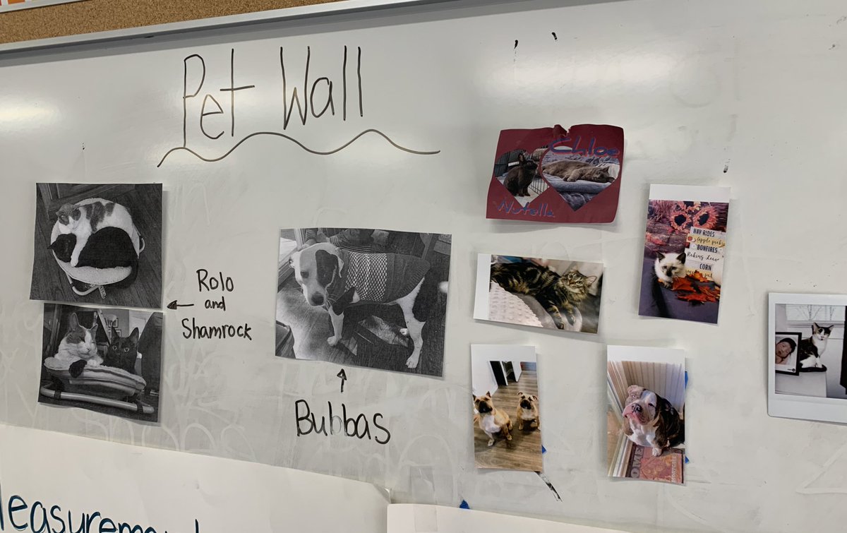 carolynvibbert's tweet photo. I loved this display I saw in a classroom today! I think I might start my own pet display for the #LibraryMakeover. Shout out to 1st grade and one of our amazing first-year teachers! #PWCSLibraries https://t.co/u3InFVOIxx
