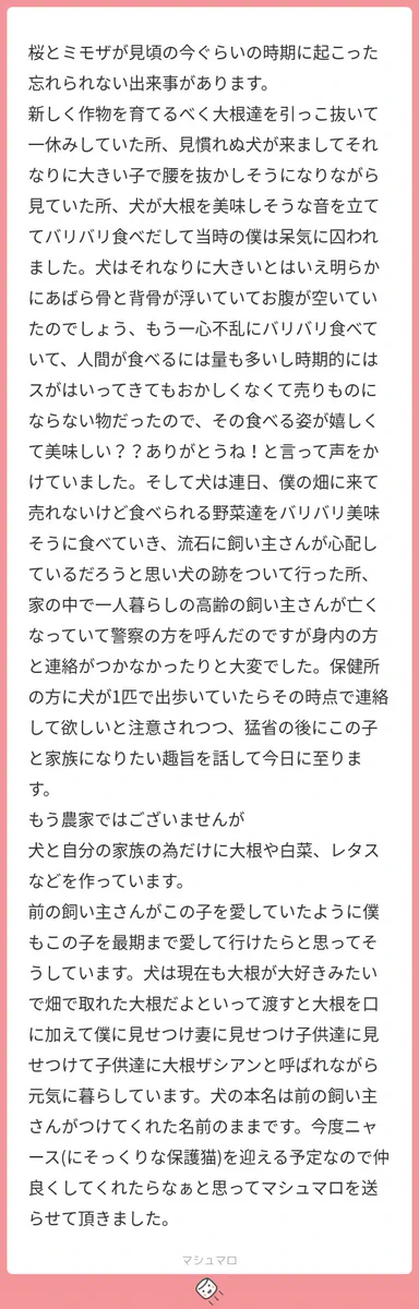 なんらかの賞を国から授与された方がいい！大根が好きな犬の話！