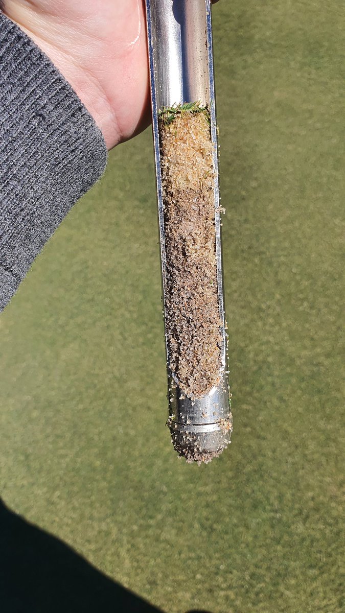 Back 9 at New Sierra Golf Course in Spain, about to green up and keep growing-in. Superb work of <a href="/m_diazlopez/">Manuel Díaz López</a> , Head Greenkeeper. Looking forward to the next agronomy visit.
#surtec #golfagronomy #golfconsultants