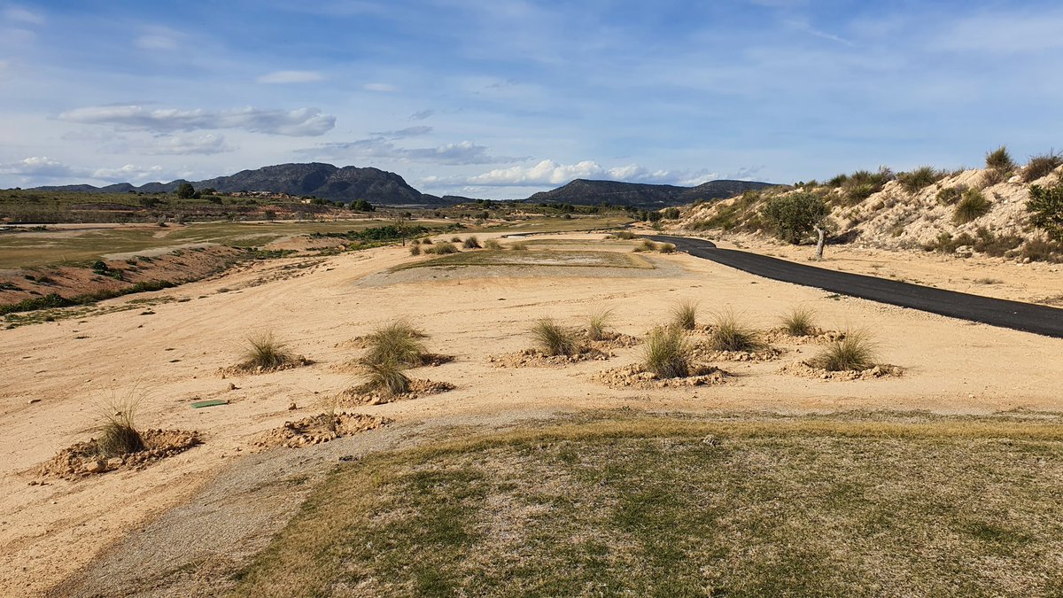 luiscornher's tweet photo. Back 9 at New Sierra Golf Course in Spain, about to green up and keep growing-in. Superb work of @m_diazlopez , Head Greenkeeper. Looking forward to the next agronomy visit.
#surtec #golfagronomy #golfconsultants https://t.co/Mrj0b9zVbY