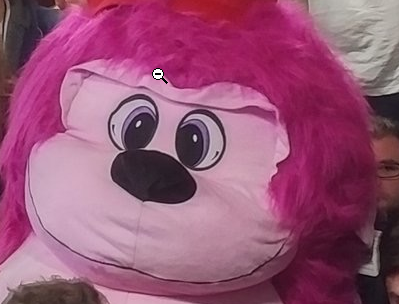 NASA Marathon tweet media