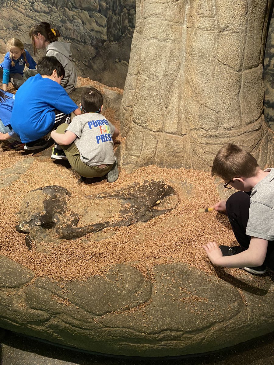 SM_TeachBT's tweet photo. Third grade had a great day at the Academy of Natural Sciences! 🦕#beartavernpride @LaRoccaBT3 @ImMisterL @lizmachado68 @EAFinnegan https://t.co/4UBKMO7mGE
