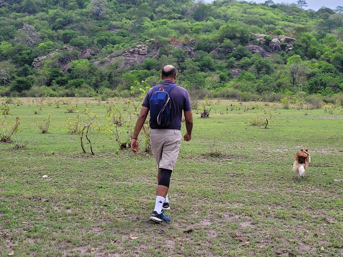 IrchadR's tweet photo. Who can tell where in #beautifulghana we are hiking, my coach @ToradoBruce, my dog Davaï and I ? This is 1h30 away from Accra... magnificent nature ! https://t.co/XVymSv4yCy