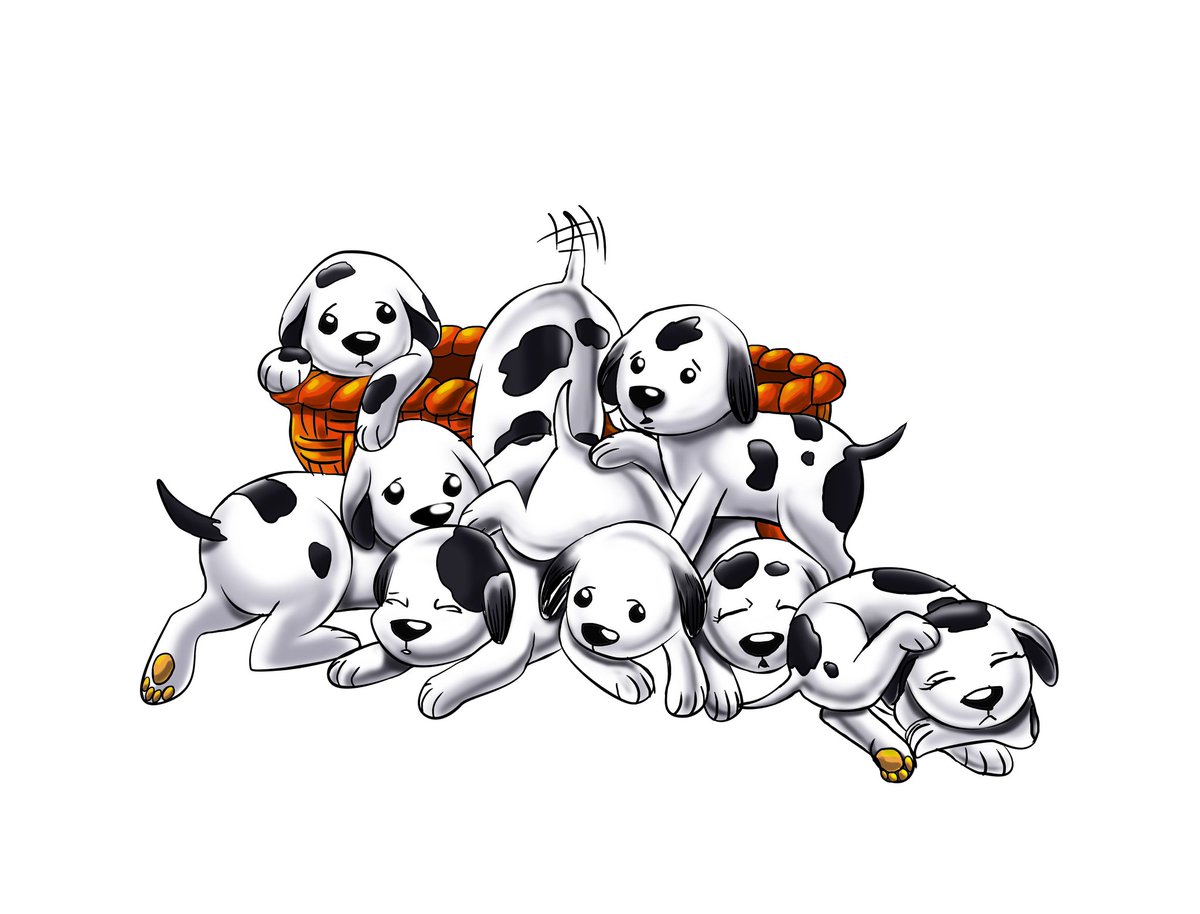 A basket full of puppies, this is where we found Spotnot.