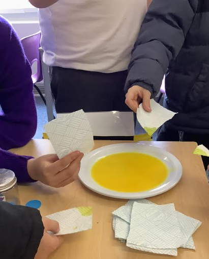 We're observing how plants absorb water! Science exploration allows skills in problem solving and reasoning to develop. Children gain confidence and deepen their understanding of the world around them! <a href="/PrimaryElaine/">Elaine Primary</a> <a href="/EEC_Elaine/">Elaine Education Centre</a> <a href="/IPAT_Edu/">The Inspire Partnership</a>
