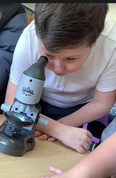 OakEPS's tweet photo. We're observing how plants absorb water! Science exploration allows skills in problem solving and reasoning to develop. Children gain confidence and deepen their understanding of the world around them! @PrimaryElaine @EEC_Elaine @IPAT_Edu https://t.co/zbfW0oqouy