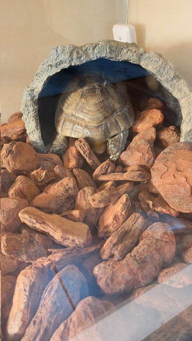 ちょびっと鼻水出てた。 