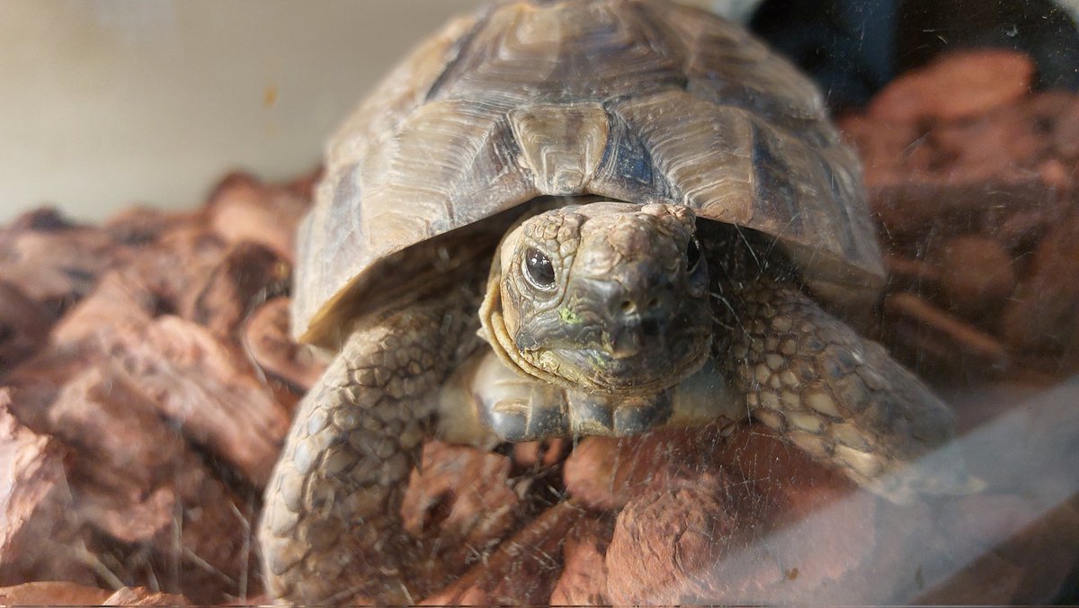 ちょびっと鼻水出てた。 