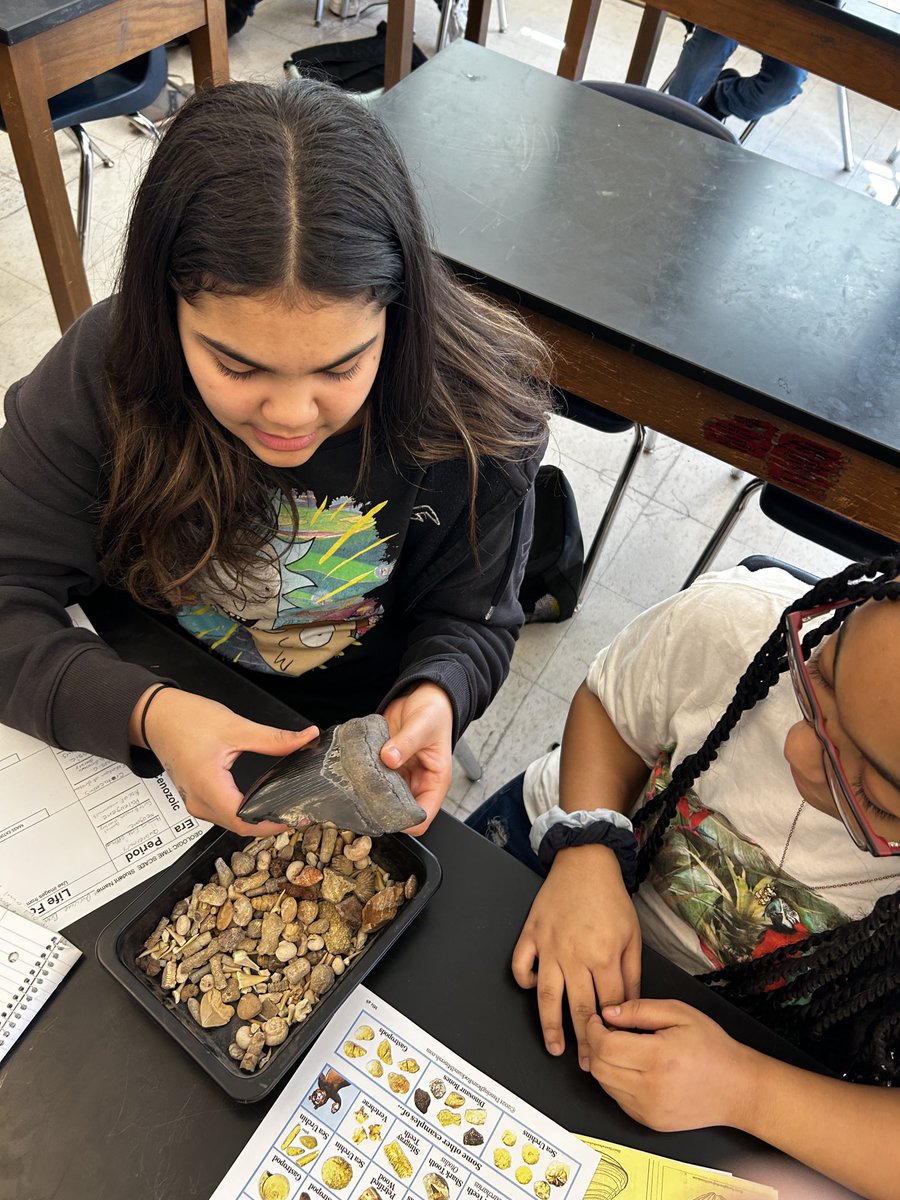 Iris Mudd tweet media