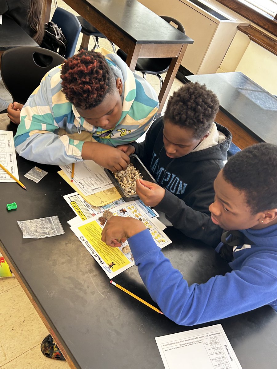 Iris Mudd tweet media