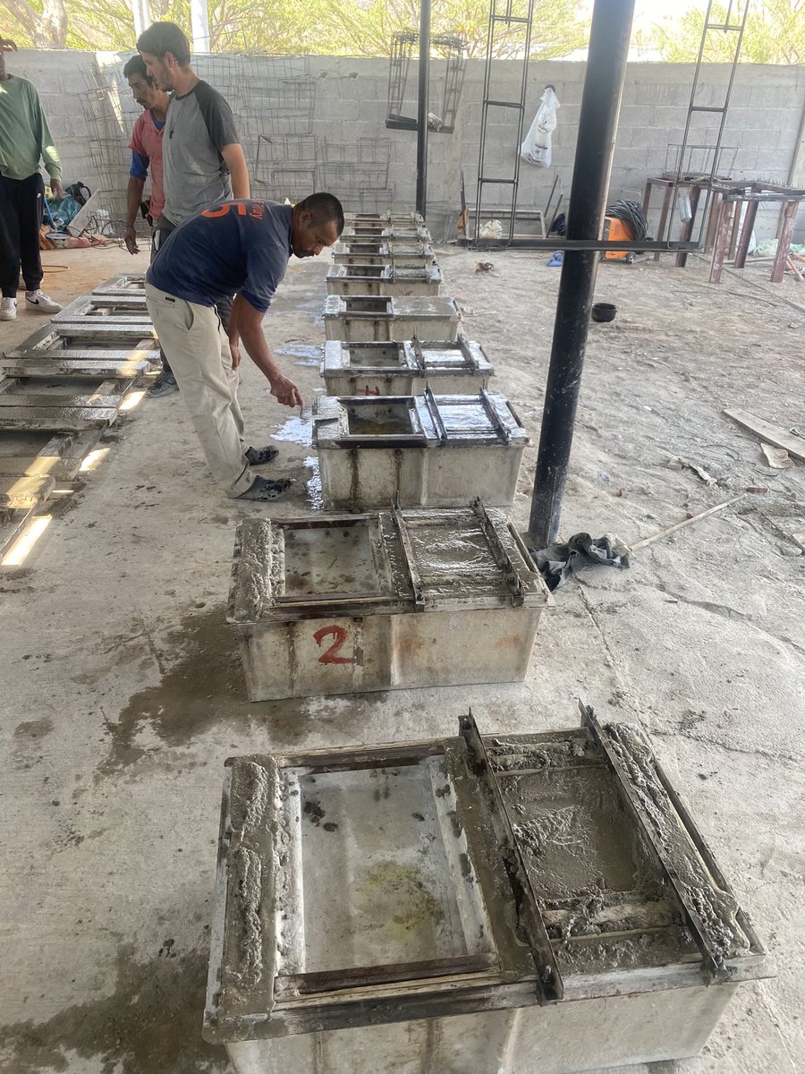 Pete Doyle tweet media