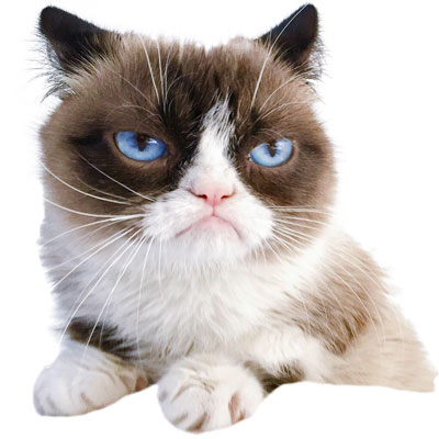 The grumpy distribution <a href="/3blue1brown/">Grant Sanderson</a> youtu.be/zeJD6dqJ5lo