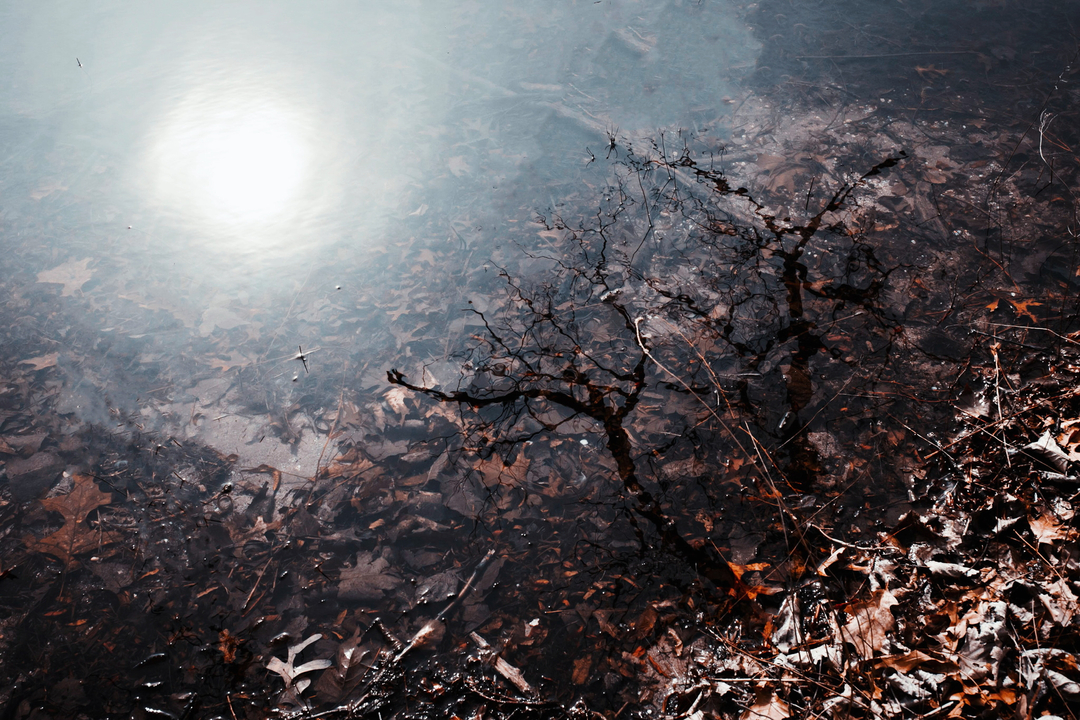 nedari06's tweet photo. "Shadows are our reflection.."

 #landscapephotography #landscape #landscapelovers #naturephotography #landschaftsfotografie #landscape_captures #landscapes #landscape_lovers #nature #naturelovers #landschaft #travelphotography #landscapephoto #m https://t.co/QyROe4sOhM