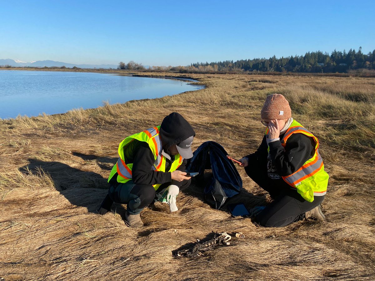 The Nature Trust of BC is hiring conservation-minded young people to join the South Coast Conservation Field Crew this summer. Apply here to join: ow.ly/sT8i50Ni4lL