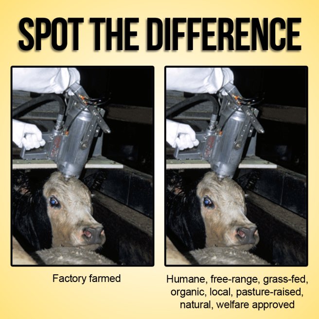 herbivore_club's tweet photo. Spot the difference. https://t.co/FhyqToWIcT