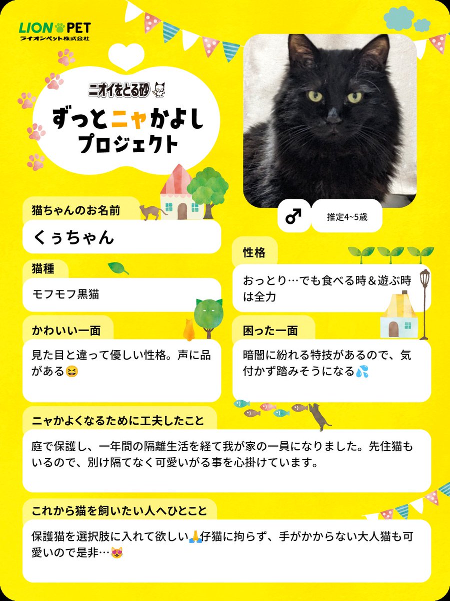 「ずっとニャかよしプロジェクト」
今回はくぅちゃんで参加🐈‍⬛✨
お外ニャンコにずっとのお家を…🏠

投稿１件につき22円が保護猫支援活動に寄付されるそうです🐱
猫飼いさんは是非参加を…3月22日迄

#ずっとニャかよし 
lion-pet.jp/catsuna/zutto_…