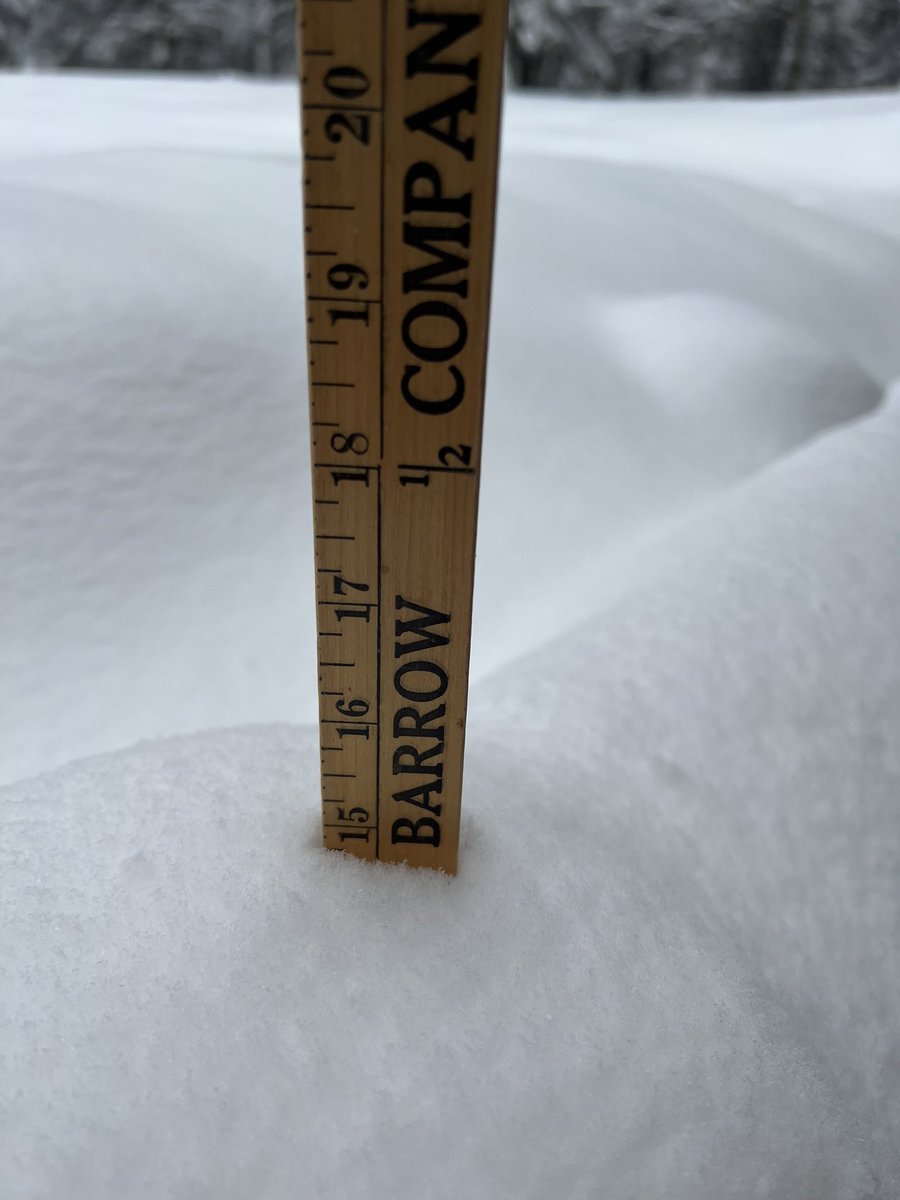 lisawood's tweet photo. @WCAX_Dan 15” in Stowe https://t.co/VYSnuNXrjh