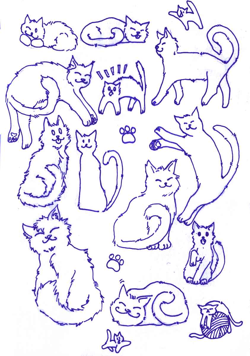 cats  cats  cats  cats