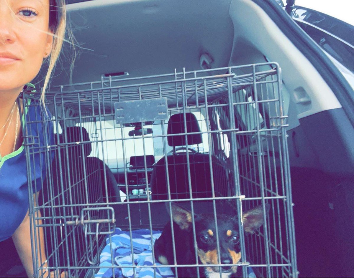 Sandra Cristina tweet media