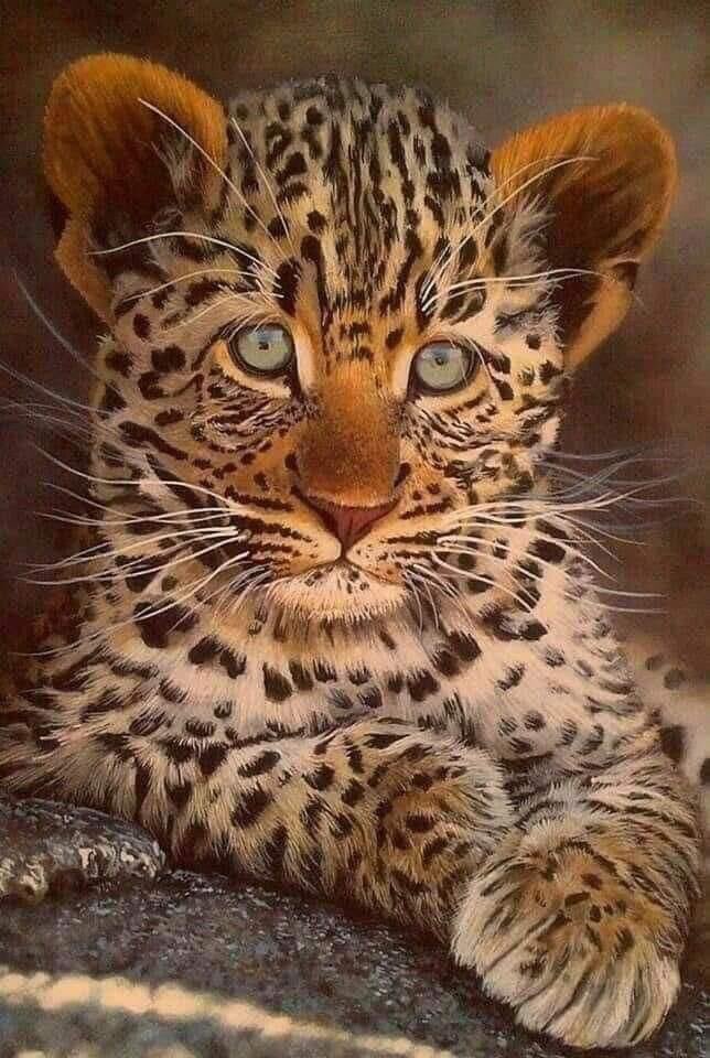 Impactante obra de arte.! 😻👀👍💯🐆🎨🖌️✨❤️