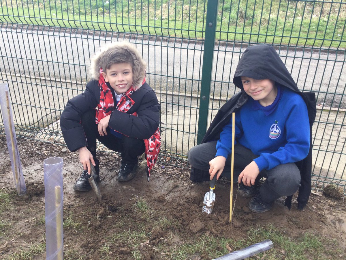 GlenbrookPrima1's tweet photo. Thank you to the @TreeCouncil for our free trees! Today, we planted over a 100 to grow into hedgerows to help our wildlife thrive. #wildisles #treecouncil #ecoschools https://t.co/oSoK0Jh74Z