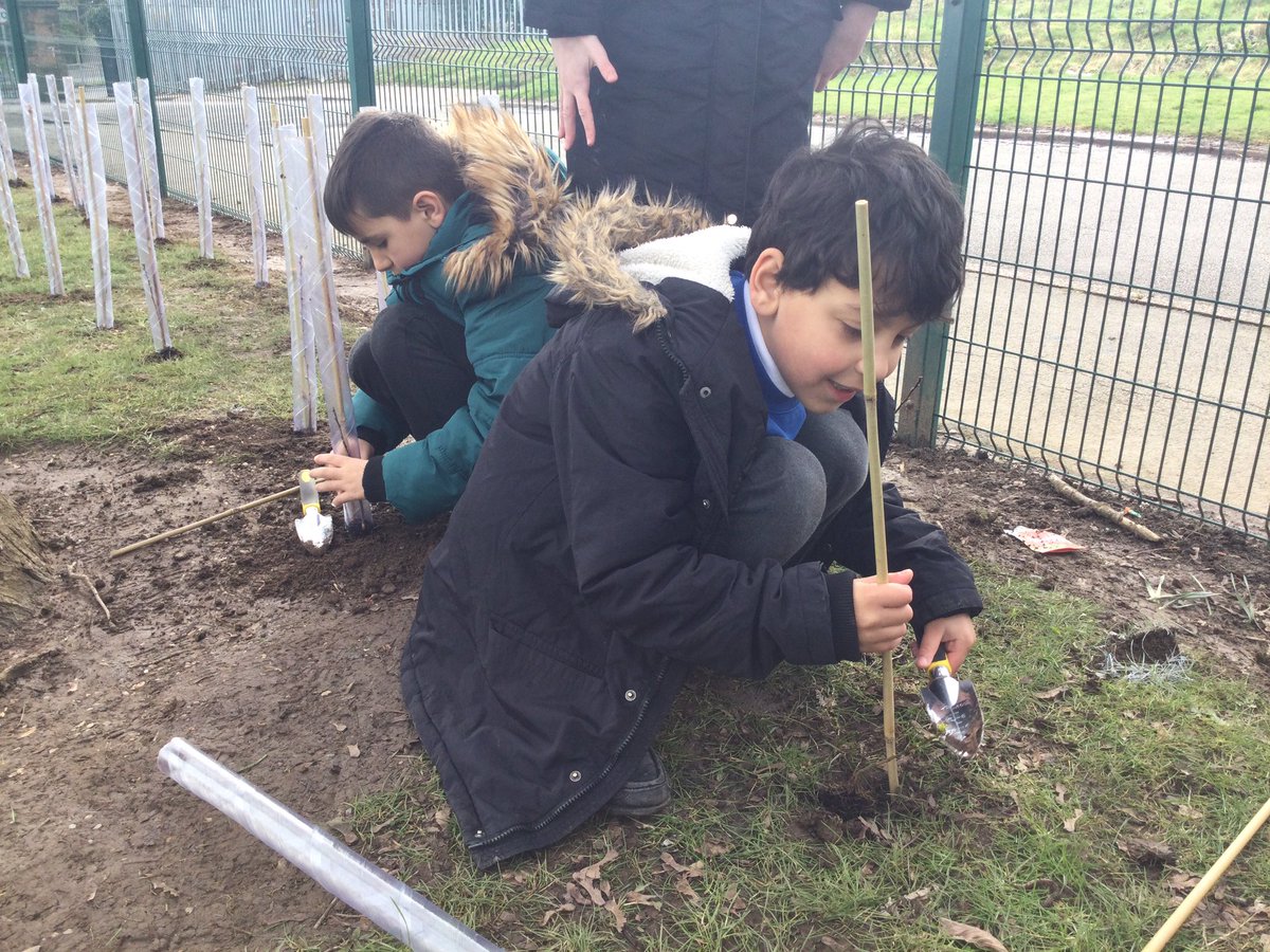 GlenbrookPrima1's tweet photo. Thank you to the @TreeCouncil for our free trees! Today, we planted over a 100 to grow into hedgerows to help our wildlife thrive. #wildisles #treecouncil #ecoschools https://t.co/oSoK0Jh74Z