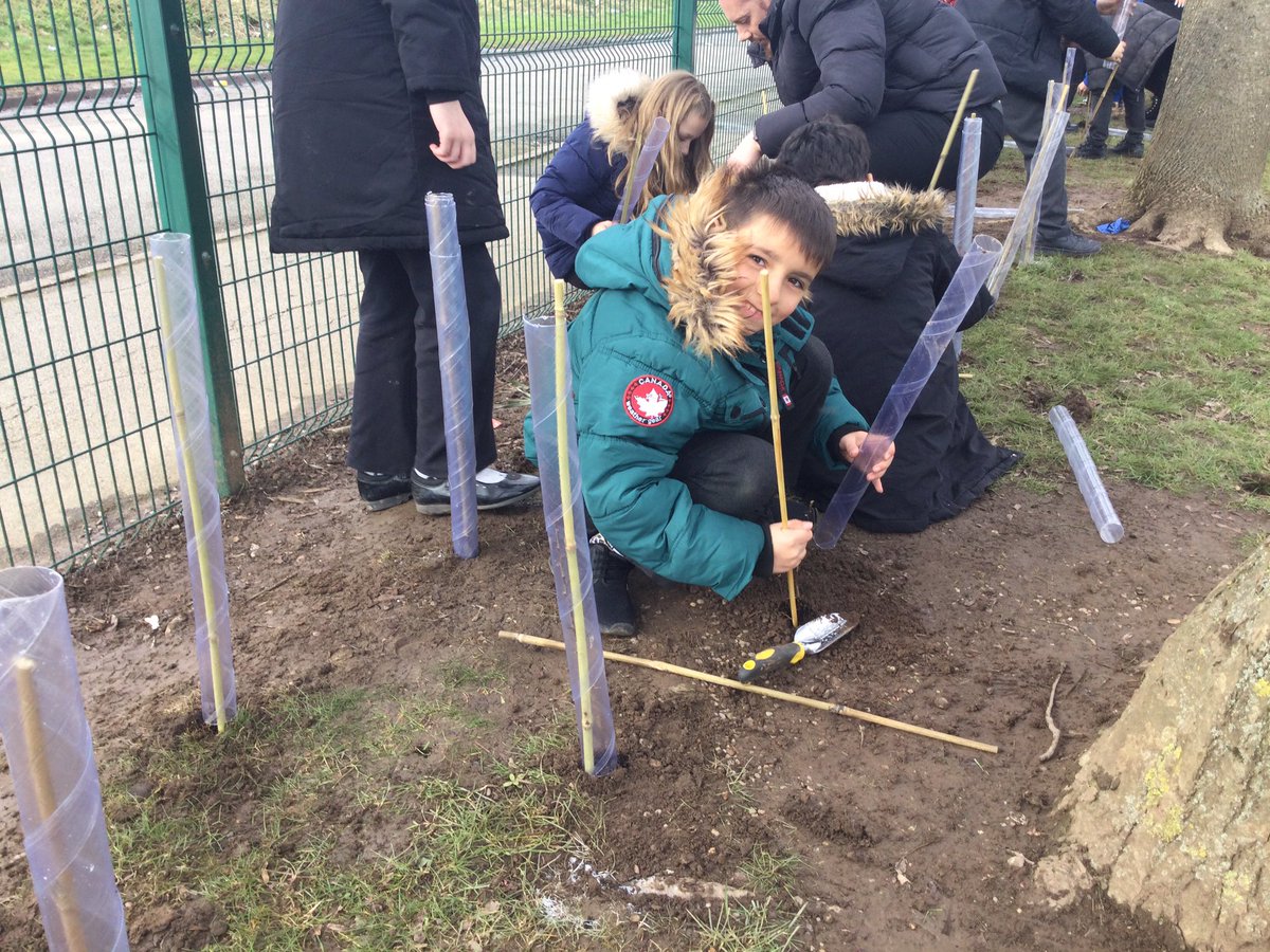 GlenbrookPrima1's tweet photo. Thank you to the @TreeCouncil for our free trees! Today, we planted over a 100 to grow into hedgerows to help our wildlife thrive. #wildisles #treecouncil #ecoschools https://t.co/oSoK0Jh74Z