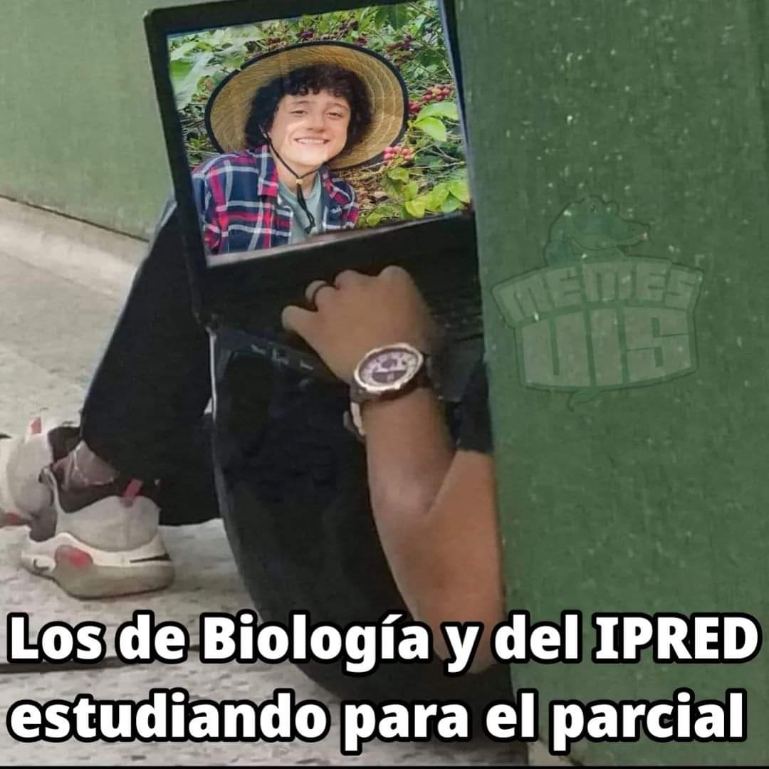 Tqm niño granjero
X