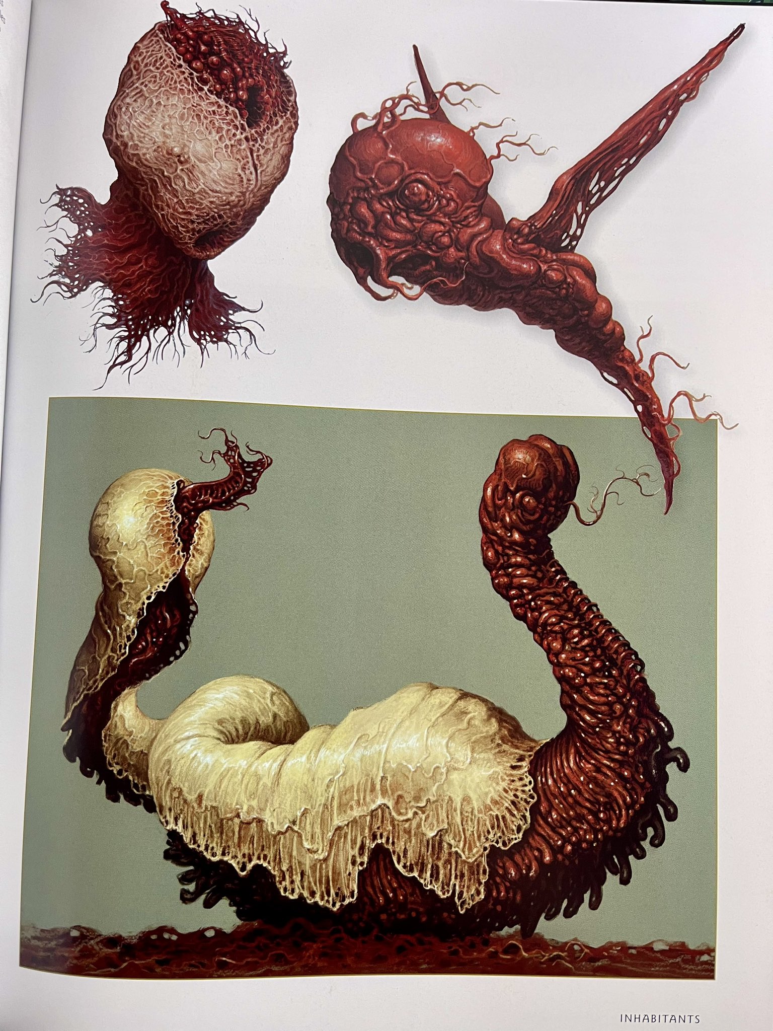 Scorn on X: 