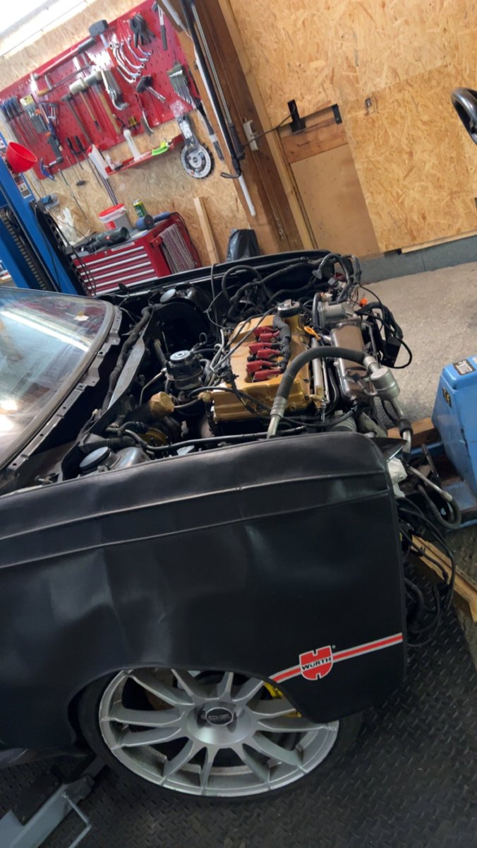 Myra Adept tweet media