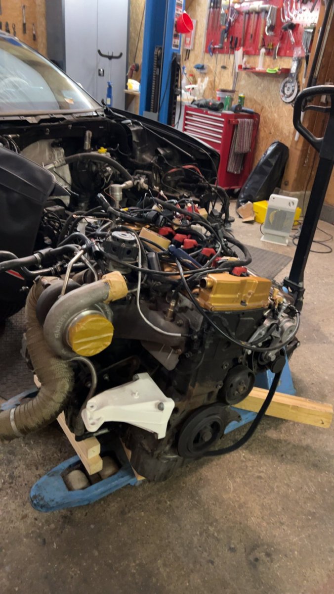 Myra Adept tweet media