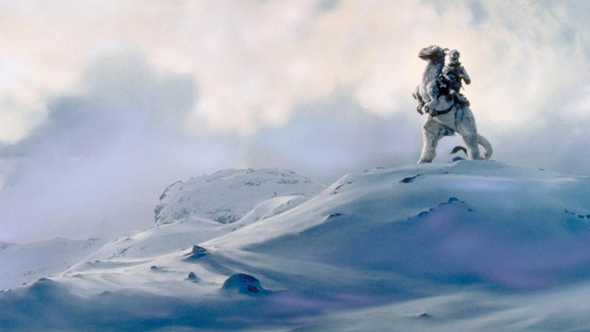 Due to the continuing winter storm, there will be a 2 hour delay Wednesday, March 15, 2023.  There will be no morning Extended Day and no morning preschool. edl.io/n1738318