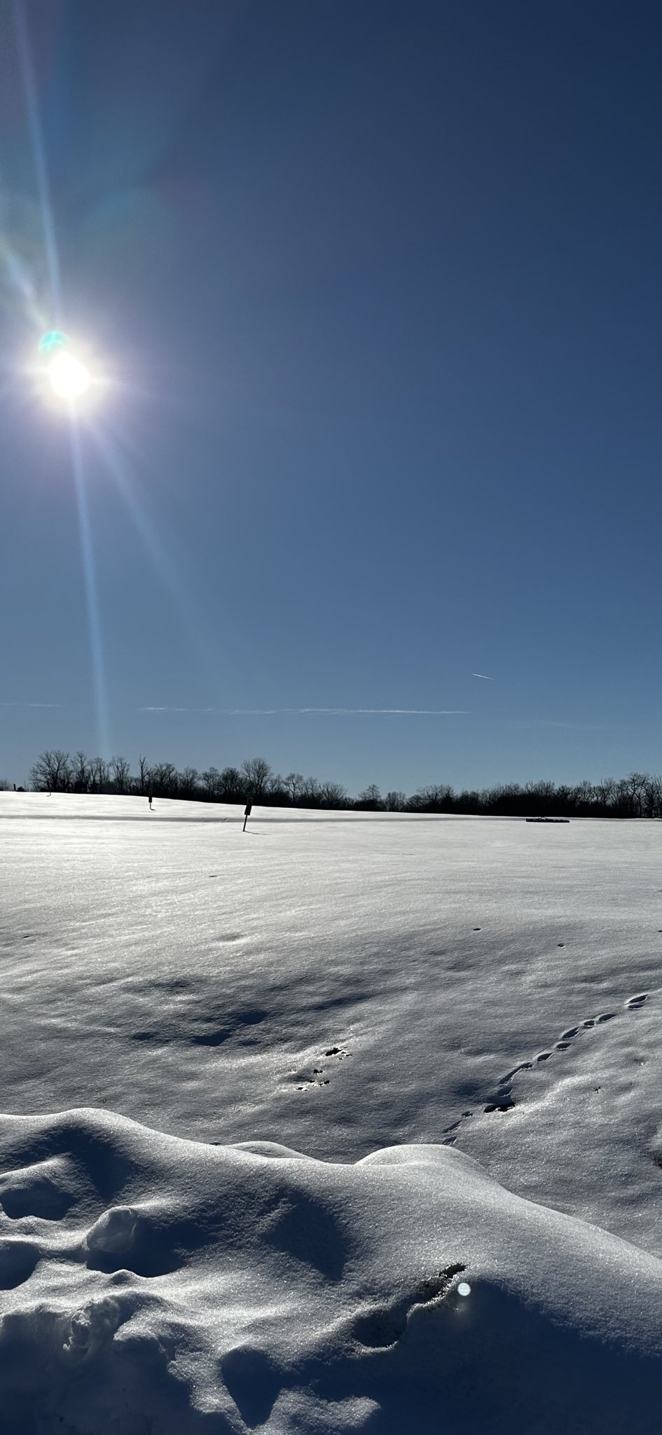 New Glarus Golf (NewGlarusGolf) / Twitter