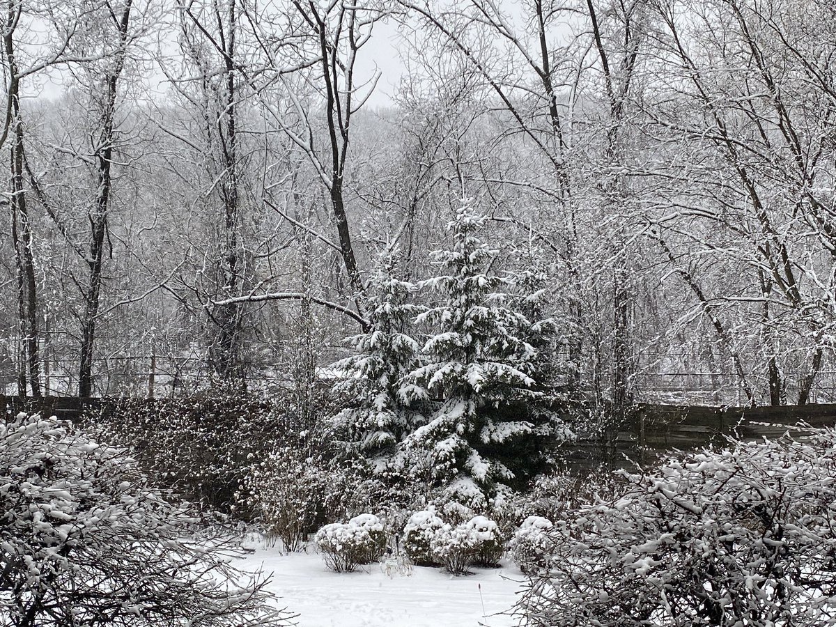 Snowy day @Raphael4NY @PatBattle4NY @StormTeam4NY @TheMariaLaRosa @Matt_Brickman @JaniceHuff4ny @DavePriceTV #snowday #chappaqua