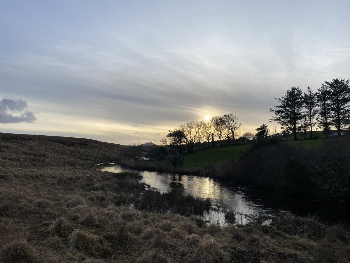 Lá 73 #100daysofwalking #folláine #Conamara #Gaeilge #3km Tráthnóna álainn 🥰 #snag2023