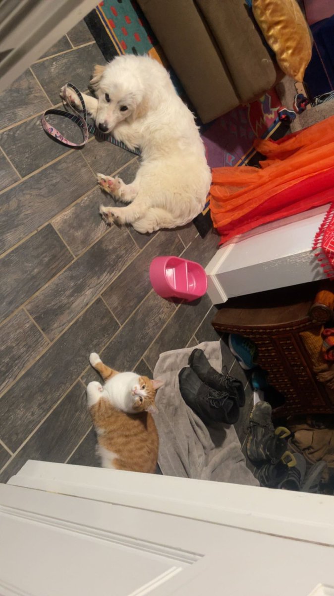 Pretty girl myrah and sweet baby boy 💗