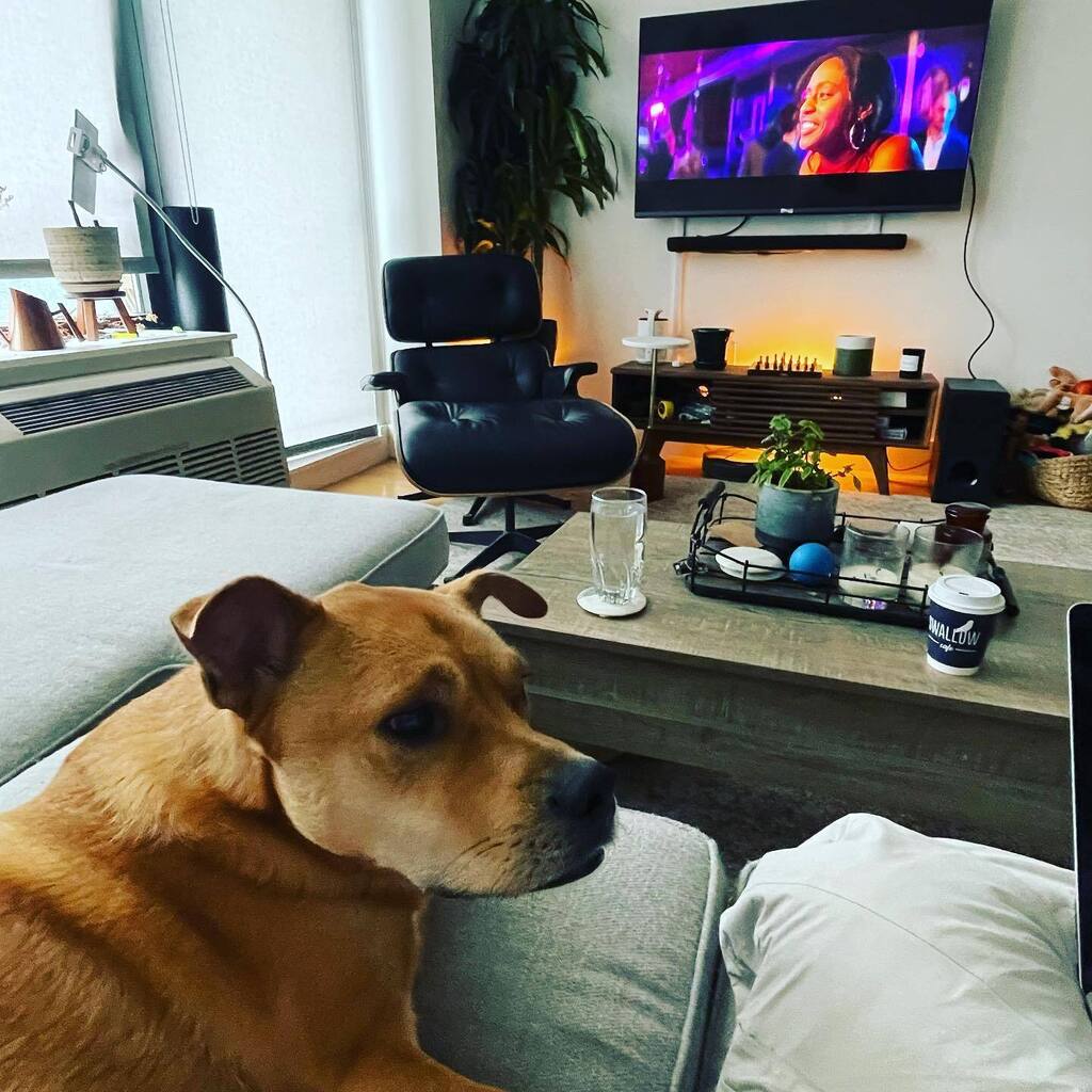 Please meet our assistant editor. #seethis got to edit in person today with @slamstagrams while I was in New York for my beloved @filmmakinglabs generator. #creativity #storytelling #myhappyplace instagr.am/p/CpyRiepPBBd/