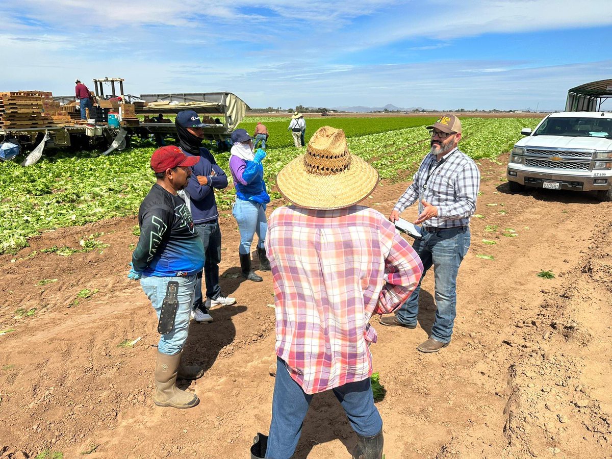 channah_rock's tweet photo. Produce safety educators assemble! Harvest worker training in action. ππ₯¬#freshproducesafety #fsma #psr https://t.co/BoF4XTxvJN