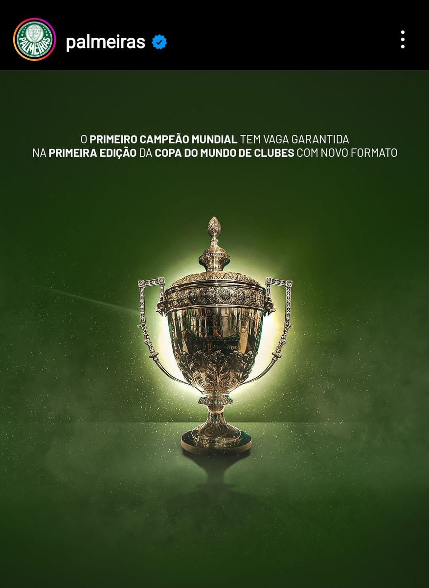goleadadazoeira's tweet photo. Eu fico impressionado que o Palmeiras REALMENTE acha que é campeão mundial https://t.co/AHO3GF8sCW