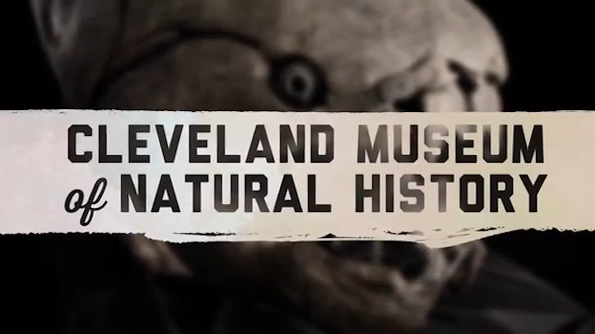 Take a trip back in time at the Cleveland Museum of Natural History with our virtual field trip: pbs.org/video/virtual-…. This video is a lot of fun, especially for curious kids after school! Funding for the Ohio Learns 360 project is provided by the Ohio Department of Education.