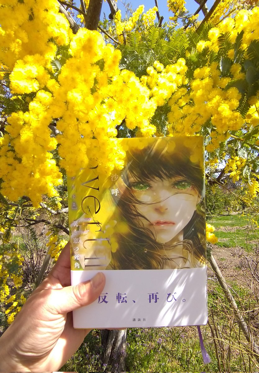 HaCCho1974's tweet image. ミモザを見に来ました。これがやりたかった🤣
#invert #翡翠ちゃん #ミモザ