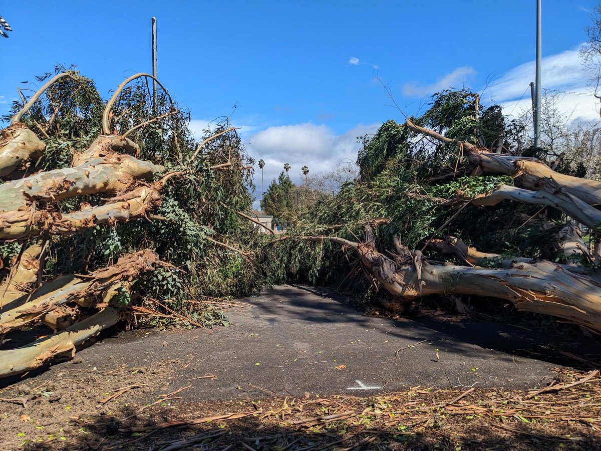 Silicon Valley Bank is now the safest place to have money but the streets are looking rough