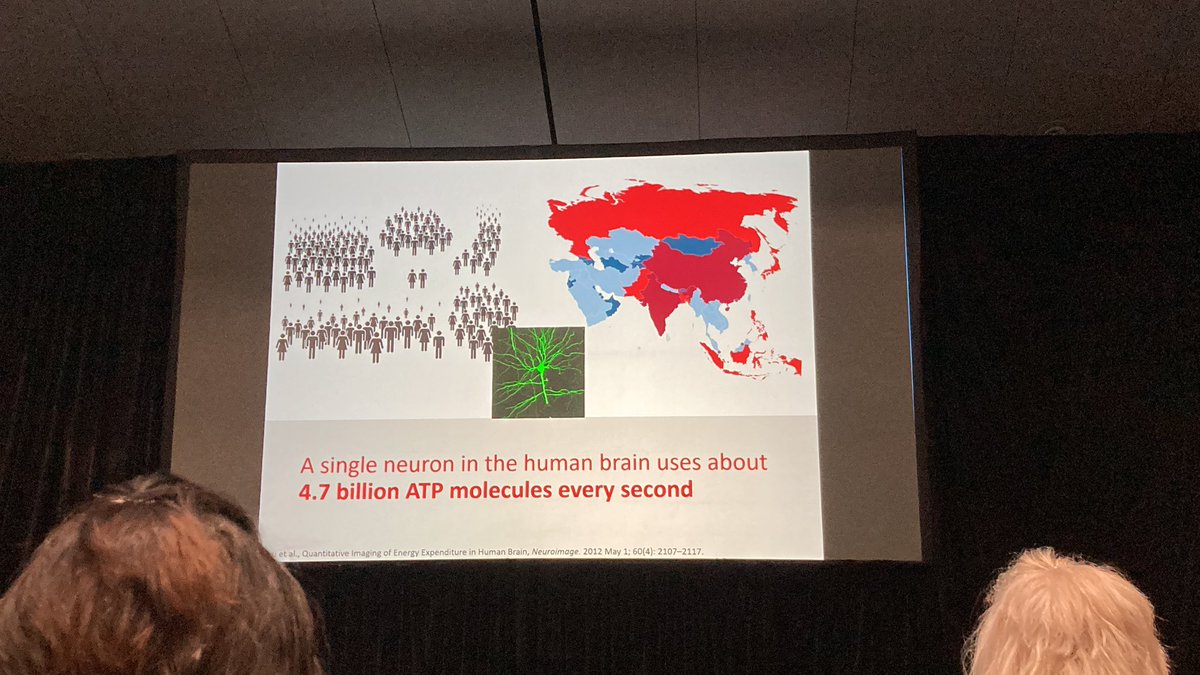 Plenary from Dr Zoltan Sarnyai - brain bioenergetics and the ketogenic diet in psychiatry. Such an exciting area of research presented via a masterclass in history, biochemistry and v interesting animal research from his lab #isnpr2023