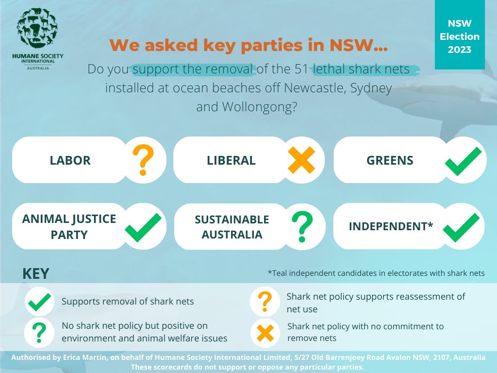 What are your candidate's views on shark nets?

We asked, and most answered.

Do you support the removal of the 51 lethal shark nets installed at ocean beaches off Newcastle, Sydney and Wollongong?

Some ‘yes’ – but no outright ‘no’s

Shark nets are losing their social licence.
