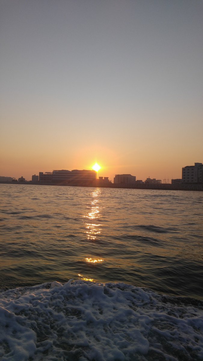 밤의장군22 tweet media